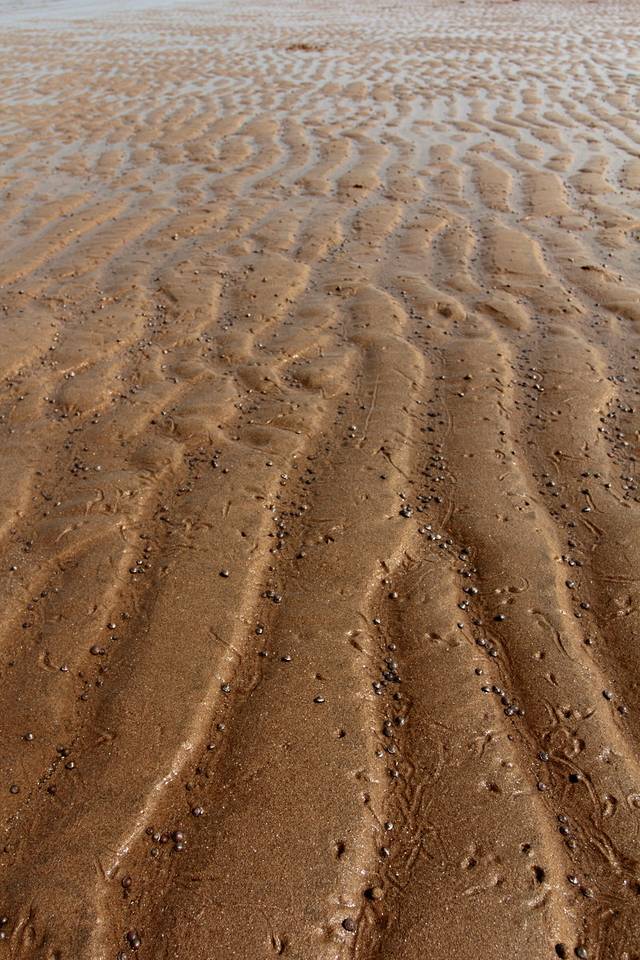 白沙湾中心浴场