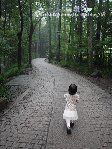 .力,然后用打车软件叫了出租车回酒店,回头看上