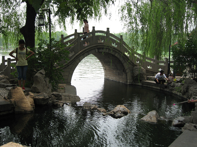 大明湖的夏雨荷_大明湖一年收入多少钱(3)