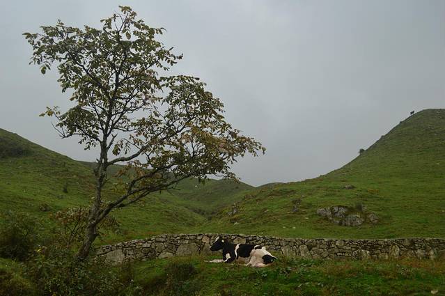 南山风景名胜区
