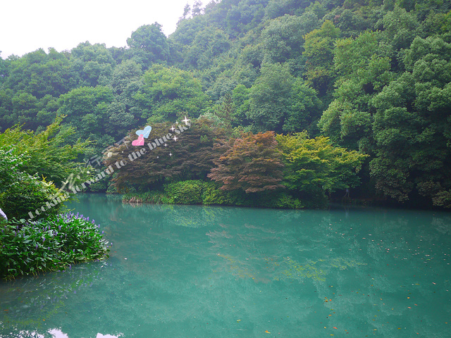 .力,然后用打车软件叫了出租车回酒店,回头看上