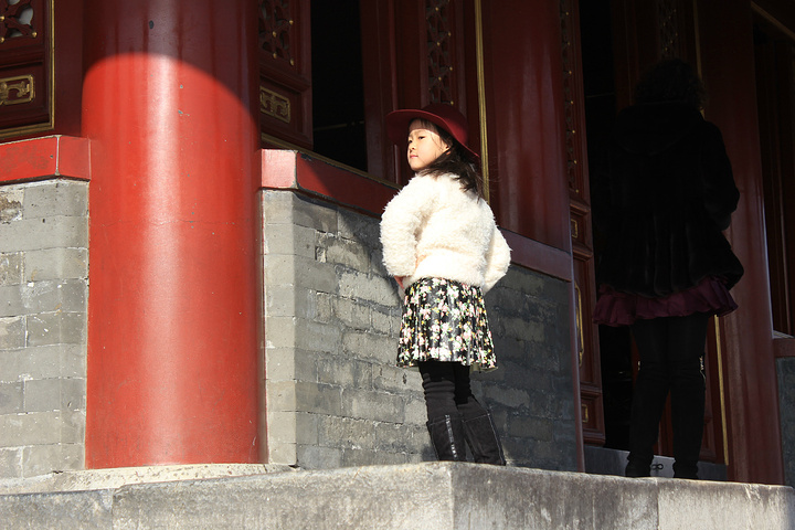 2018景山公园非常棒,门票只要两元,学生证一元