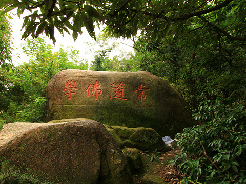 灵岩山旅游景点图片