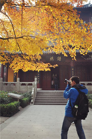 "要上栖霞山要经过栖霞寺，门票在栖霞寺门口买！我们也没什么路线，纯粹是在山上随便找些路走走！票价2元_栖霞山"的评论图片