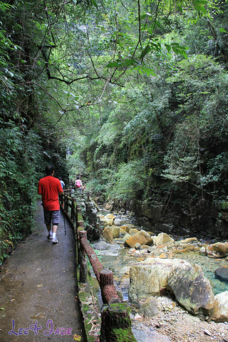 "...天飘降，轻柔，飘忽，无声无息……与雄伟壮阔的悬崖背景，刚柔并济，奇妙地融为一体，真叫人叹为观止_广东大峡谷"的评论图片