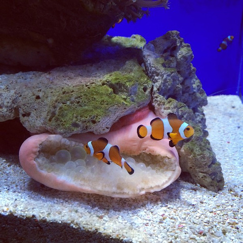 再说说去青岛吧 周末去得 那叫一个坑爹 海洋馆