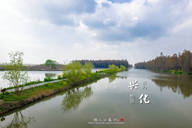 李中水上森林公园