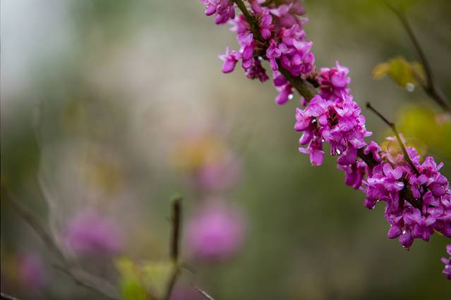 钟山风景区紫霞湖