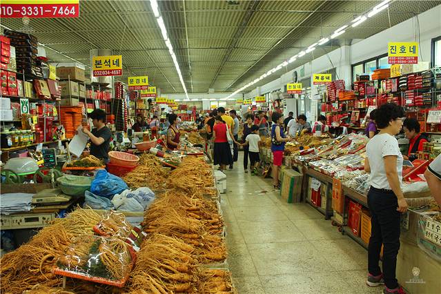 江华岛人参中心