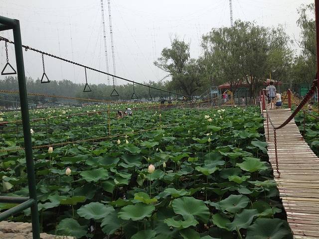 蟹岛绿色生态度假村