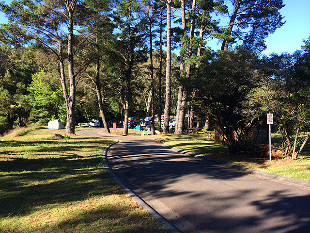 "为了避开游览人群，我们选择在离Katoomba11公里的Blackheath住宿，营地--Bl..._蓝山国家公园"的评论图片