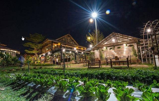 农庄餐厅旅游攻略