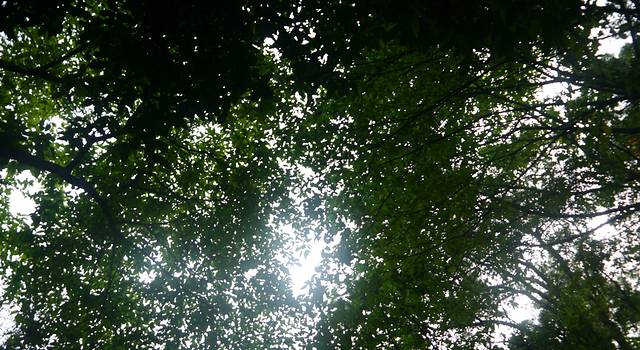 用脚步丈量的城市--广州