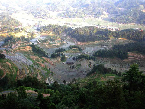 紫鹊界梯田旅游景点攻略图