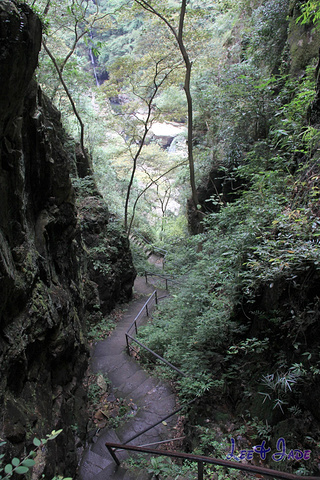 "...天飘降，轻柔，飘忽，无声无息……与雄伟壮阔的悬崖背景，刚柔并济，奇妙地融为一体，真叫人叹为观止_广东大峡谷"的评论图片