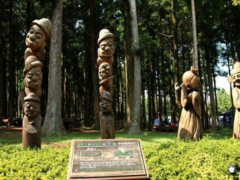 水自然休养林旅游景点图片