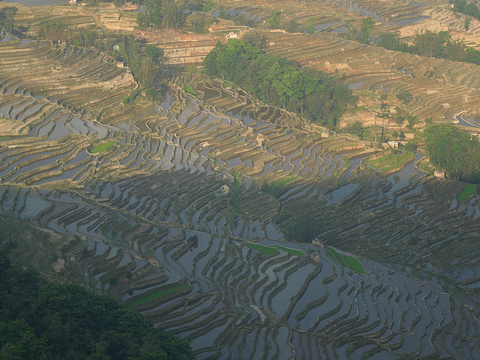 坝达景区旅游景点攻略图