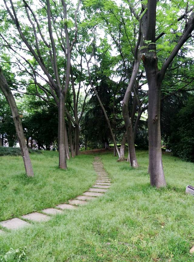 绍兴古城-百花苑