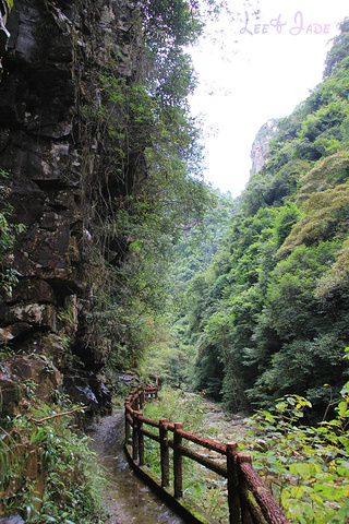 "...天飘降，轻柔，飘忽，无声无息……与雄伟壮阔的悬崖背景，刚柔并济，奇妙地融为一体，真叫人叹为观止_广东大峡谷"的评论图片