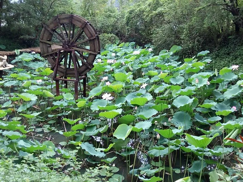Fairy Lake, Huainan — photo from the ToursChinaTravel attraction library