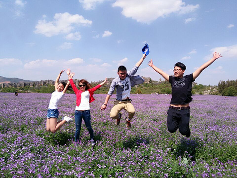 鳞隐石林旅游景点攻略图