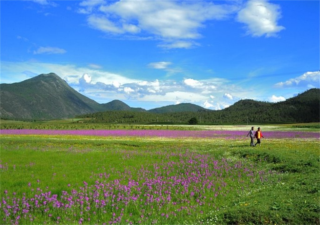 九子海旅游攻略