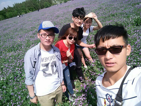 鳞隐石林旅游景点攻略图