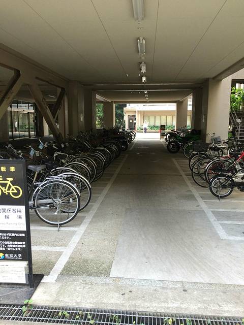 东大的自行车库