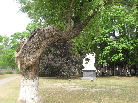 菱湖公园旅游景点图片