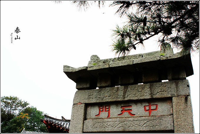 泰山登顶两日记-泰安旅游攻略-游记-去哪儿攻略