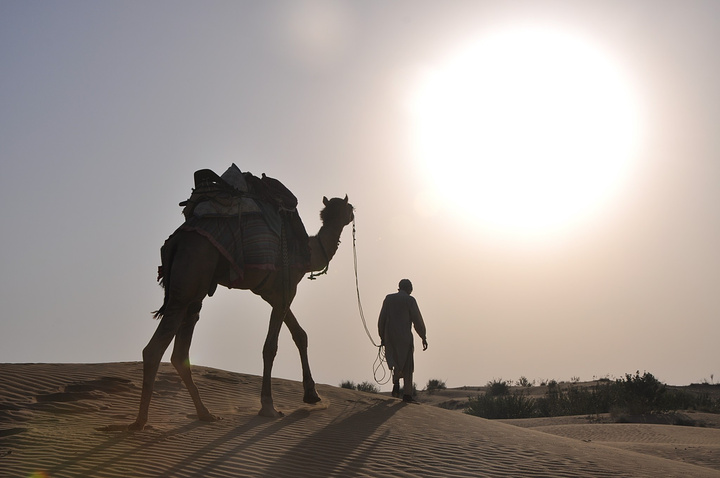 骑得这匹骆驼才5岁还是个小孩特别喜欢跑而且骆驼跑起来是顺拐得真的