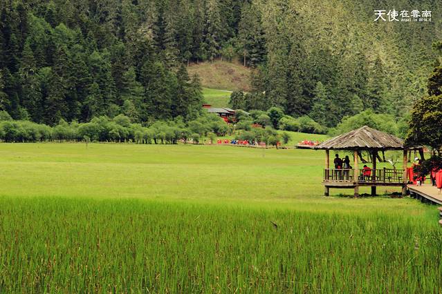 普达措国家公园