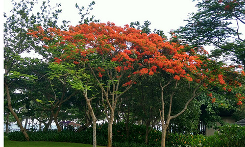 石梅湾旅游景点攻略图