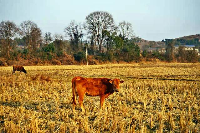 平江石牛寨景区