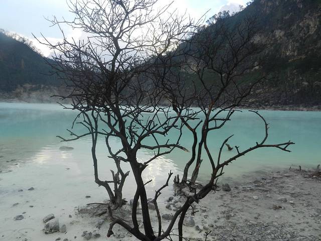 Kawah Putih