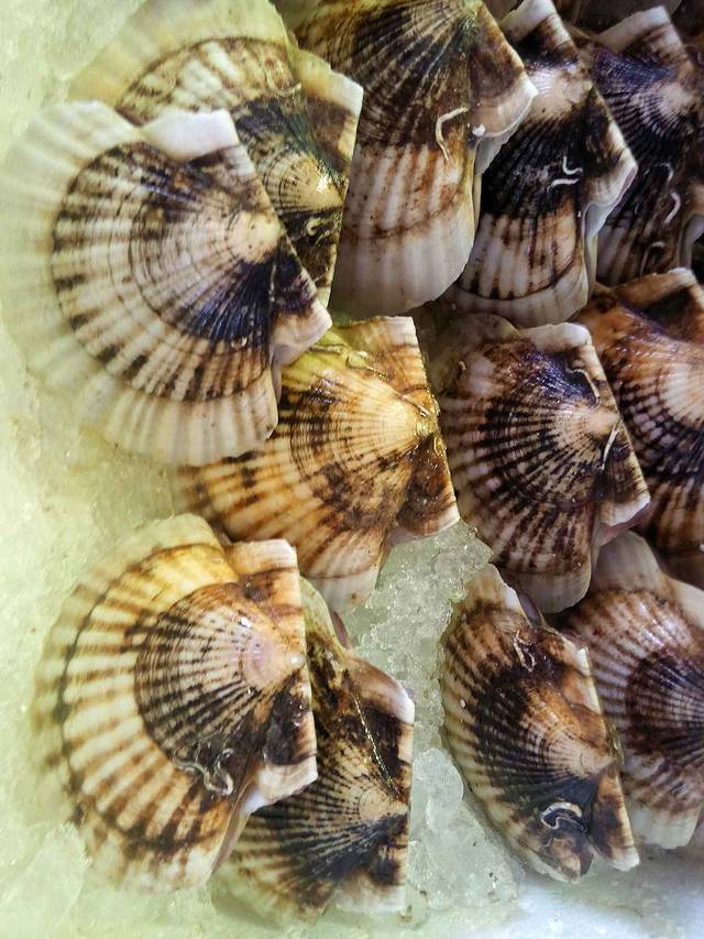 十九涌海鲜市场