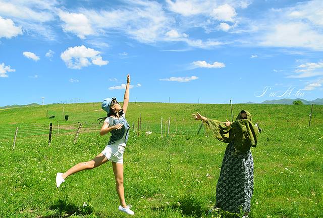 总是要去吹些滚烫的风,流些滚烫的泪