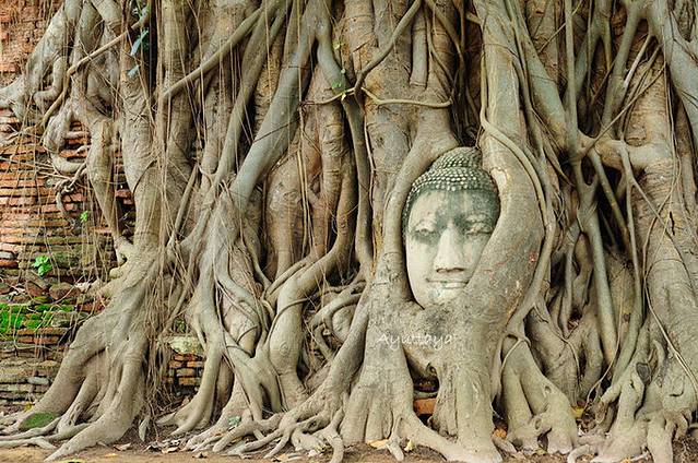 一份神秘,一份清新@泰国十日游
