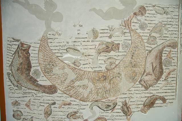 国立史前学与民族学博物馆