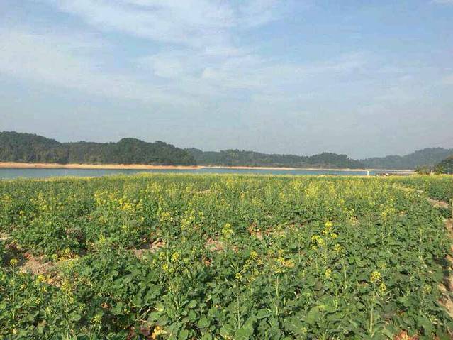 万绿湖·万绿谷度假区