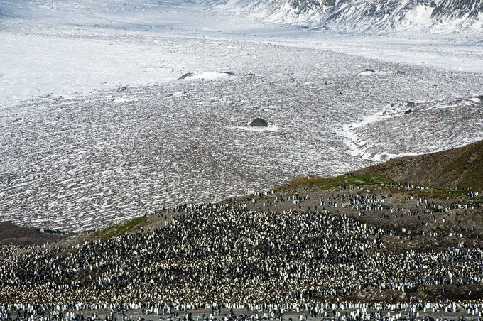 圣安德鲁斯海湾图片 圣安德鲁斯海湾图片