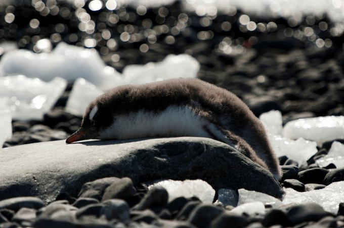 布朗断崖图片 布朗断崖图片