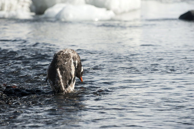 布朗断崖图片 布朗断崖图片