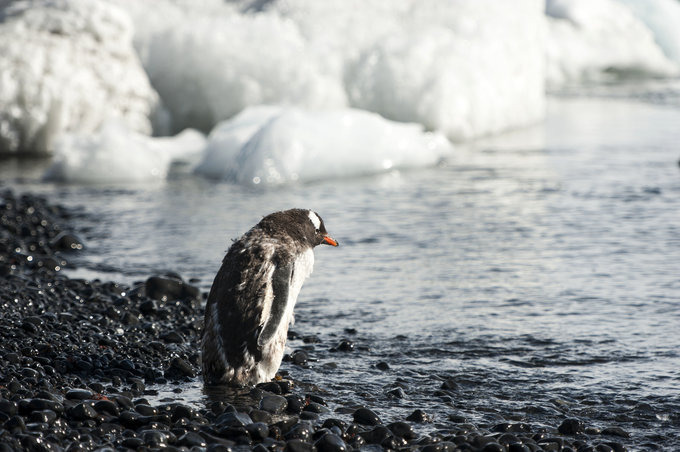 布朗断崖图片 布朗断崖图片
