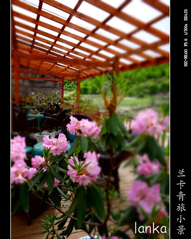"美丽的雪山…小绾承认这里的确是“东方的阿尔卑斯”“美丽的川西高原”…四姑娘山“蜀山之后”的美..._四姑娘山海子沟风景区"的评论图片
