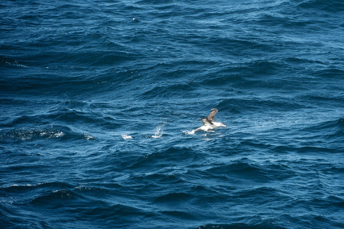 一场海洋生物的盛会图片 一场海洋生物的盛会图片