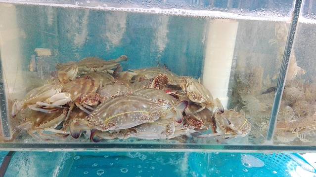 三乐海鲜水饺馆