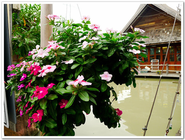 2016泰国的很多地方是以河湖港汊为特点的地