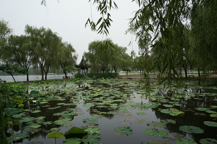 "推荐景点，行春桥，是一座九孔石桥，有年代的一座古桥，中秋来此看石湖串月的人很多，渔庄内的 有慈..._石湖景区"的评论图片