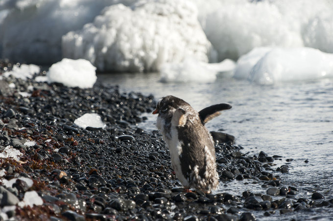 布朗断崖图片 布朗断崖图片